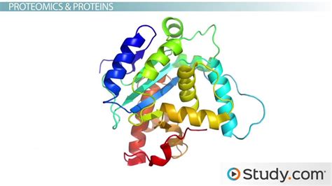 Image result for Genomic Analysis