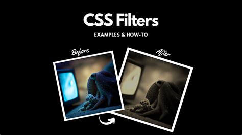 Image result for Filter for a List HTML/CSS