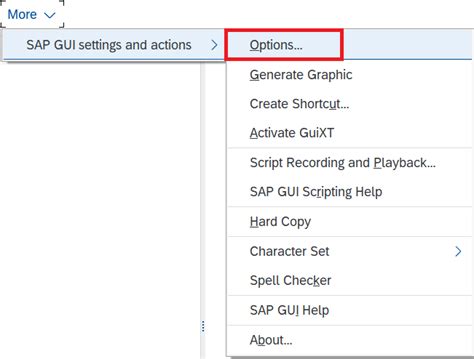 Image result for SAP GUI Settings