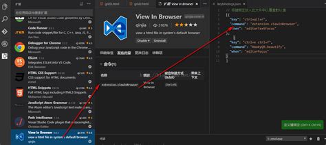 vs Code.html Viewer に対する画像結果