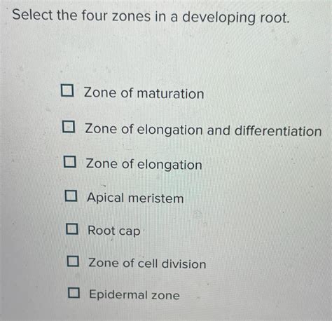 Image result for Zone of Maturation