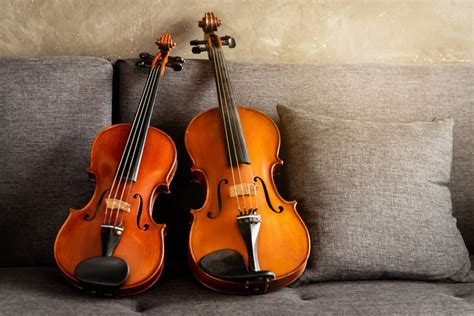 Image result for String Instruments Viola Violin