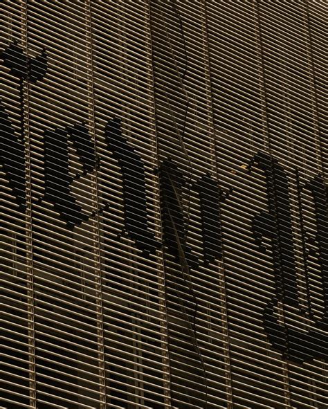 Image result for Project Veritas New