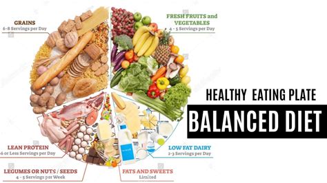 Image result for Diet Notification Form Care Home