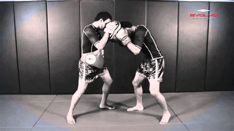 Image result for Mixed Boxing Knockout By