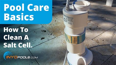 Image result for Salt Pool Maintenance