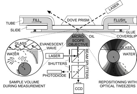 Image result for Colloidal Particle