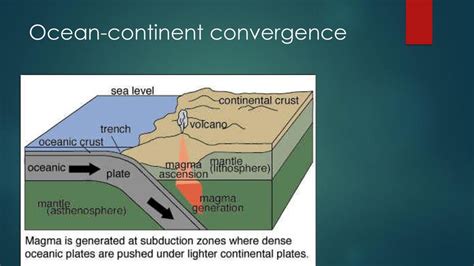 Image result for Example of Oceanic Continental Convergence