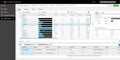 Image result for Data Profiling Table
