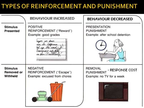 Image result for Schedules for Reinforcement Practice