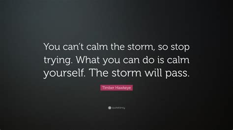 Toradh íomhá ar What to Do If You Can't Calm Yourself
