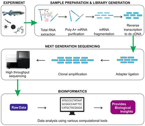 Image result for RNA-Seq Analysis Tutorial in Hindi