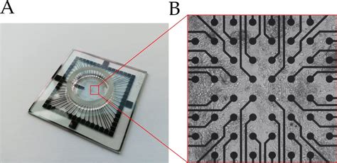 Image result for Electrode Array Chip