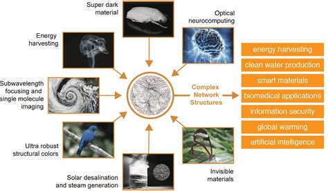 Image result for Evolution of Complex System