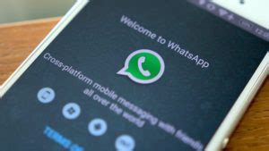 Toradh íomhá ar Install 2 Whatsapp Android