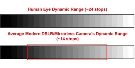 Image result for 4 Log Dynamic Range