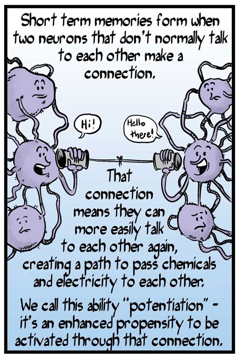 Afbeeldingsresultaten voor Short-Term Memory Graph