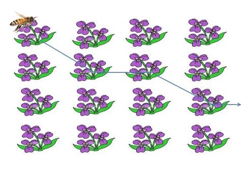Image result for Pollinator Migration Patterns