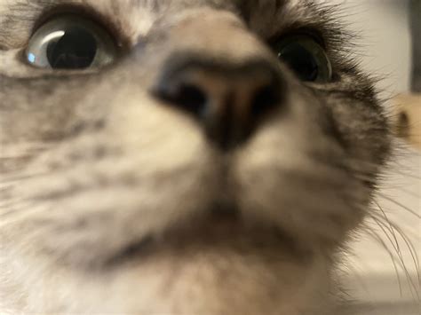 Image result for Relu Python