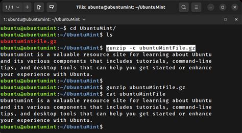Image result for Open Gzip File