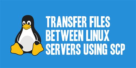 Image result for SCP Data Transfer with Key