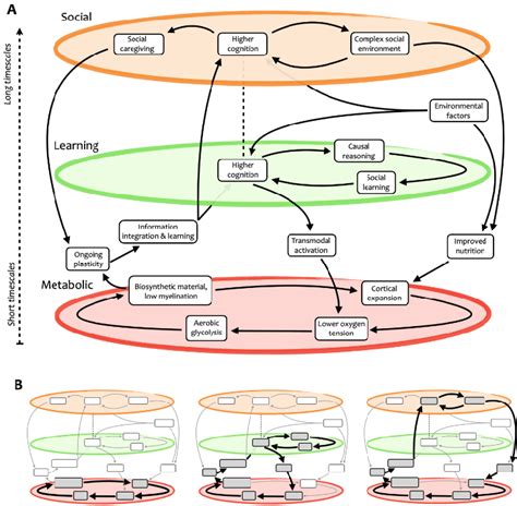 Image result for Evolution of Complex System