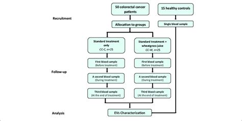 Toradh íomhá ar Single Transition Clinical Study Design Flow Chart