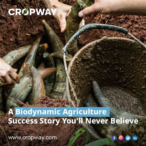 Toradh íomhá ar Biodynamic Agriculture