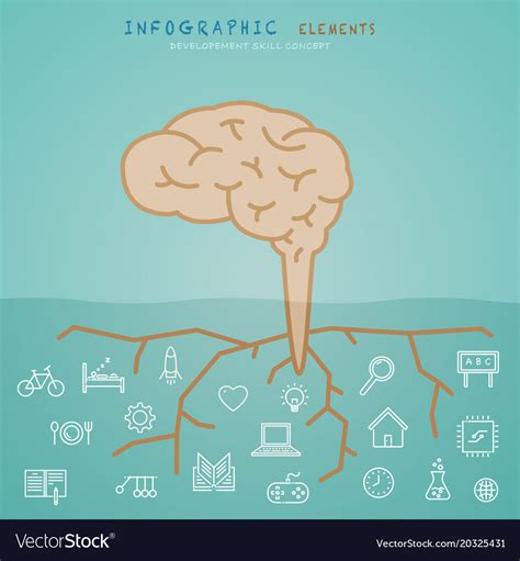 Image result for Brain Development Vector