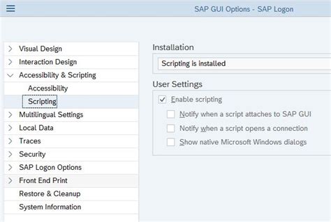 Image result for SAP GUI Settings