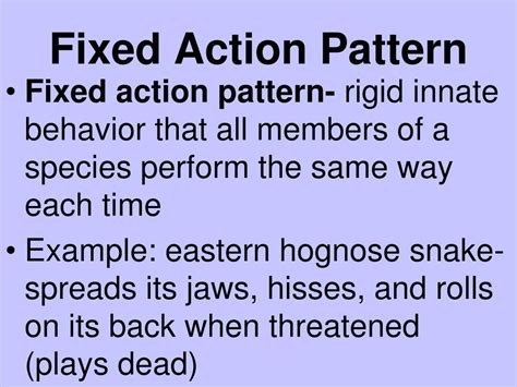 Image result for Fixed Action Pattern