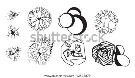 Tree Base Drawing に対する画像結果