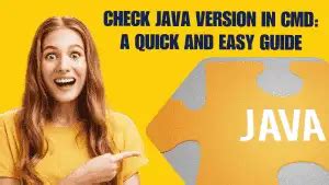 Use Speciifv Version of Java Cmd के लिए छवि परिणाम