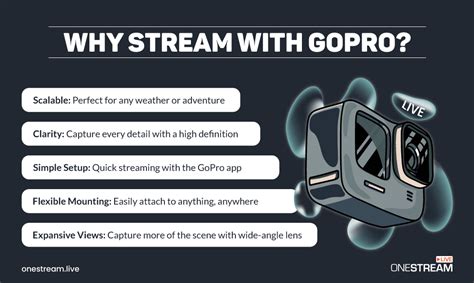 GoPro Streaming に対する画像結果