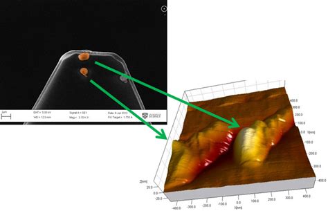 Image result for Colloidal Particle
