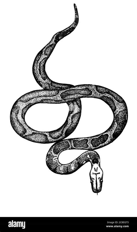 Image result for Python MS Azure