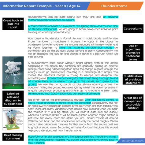 Image result for Informational Report Outline Example