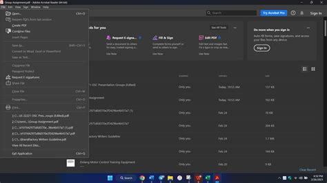 Toradh íomhá ar My PDF Files On This Computer
