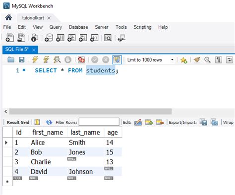 Toradh íomhá ar Concat Syntax in SQL