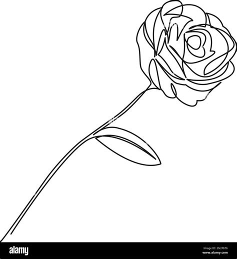 Image result for Continuous Single Line Drawing