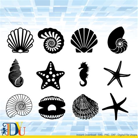 Image result for Shell SVG Simple