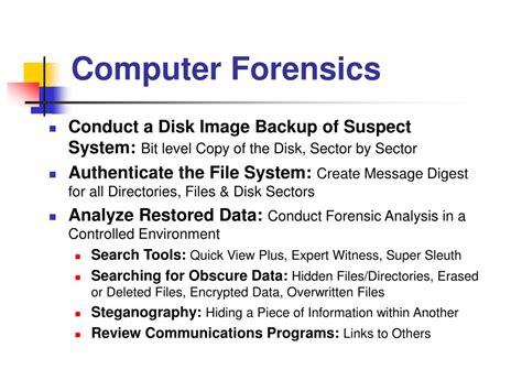 Image result for Computer Law's Implementation