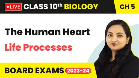 Image result for Life Processes Heart Diagram Class 10