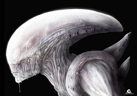 Image result for Alien Covenant Illustration