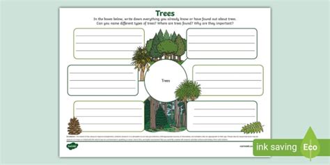 Image result for Mind Map Tree Design
