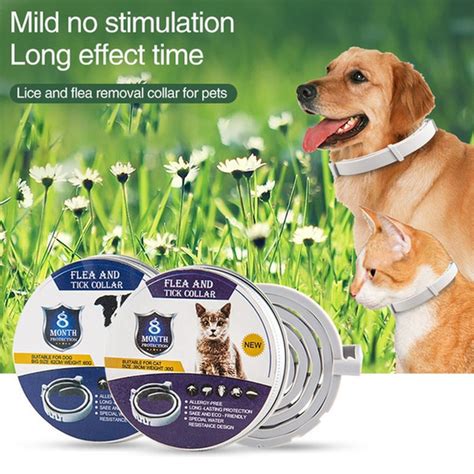 Image result for Insect Repellent for Dogs