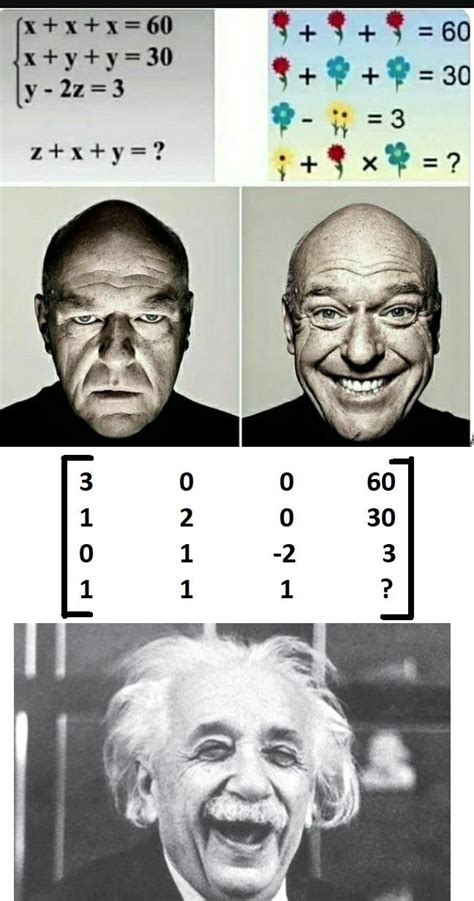 Image result for Matrix Factorization Meme