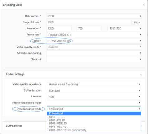 Image result for Video Encoding Configuration