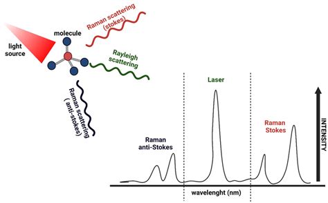 First Raman Spectrometer-साठीचा प्रतिमा निकाल