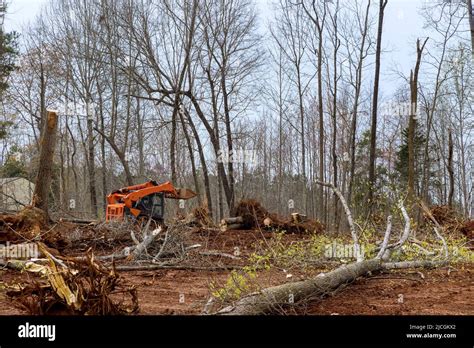 Toradh íomhá ar Buldozer Clearing Trees